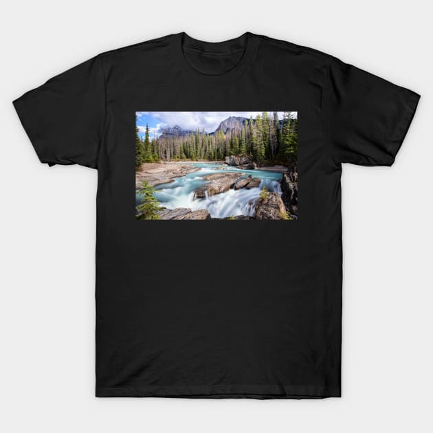 Natural Bridge in Green and White T-Shirt by krepsher